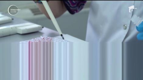 Veşti bune din Satu Mare. Specialiștii Direcției Sanitar-Veterinare și pentru Siguranța Alimentelor ar fi identificat anticorpii pestei porcine africane