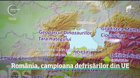 România, campioana defrișărilor din Uniunea Europeană