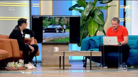 Atenție, posesori de câini și pisici! Ce trebuie să faci ca să ai brad de Crăciun intact