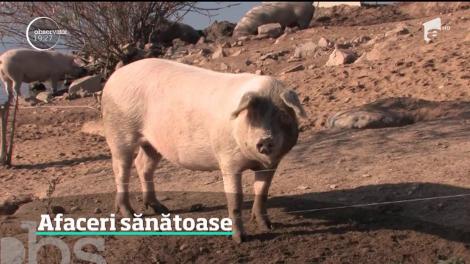 Obiceiurile bunicilor devin inspiraţia antreprenorilor