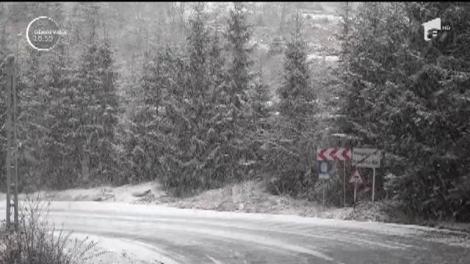 În România vin trei zile cu ger siberian şi ninsori