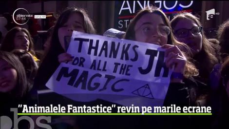 Animalele fantastice create de J. K. Rowling invadează din nou marile ecrane ale lumii