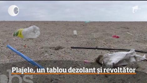 Situaţie îngrijorătoare pe litoralul românesc!