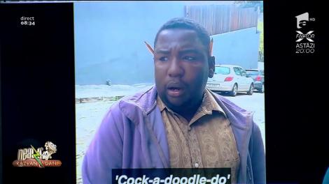 Omul acesta e senzație! Imită zeci de animale, în doar câteva secunde (VIDEO)