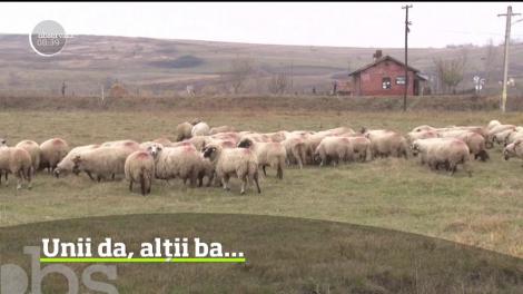 Când vrei, poţi! Au dovedit-o edilii dintr-o localitate din Botoşani, care au adus bunăstare locuitorilor. În schimb, la doar 30 de kilometri distanţă, în acelaşi judeţ, într-o altă localitate domneşte sărăcia