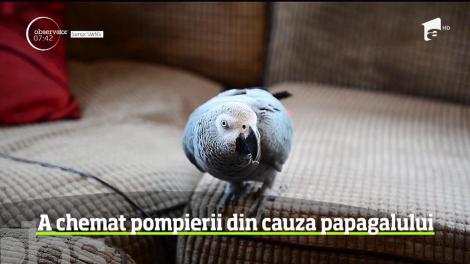 Situaţie jenantă pentru un englez. Omul a chemat disperat pompierii, speriat că locuinţa i-a luat foc. Din fericire, nu s-a întâmplat nimic, omul a fost păcălit. de papagalul său