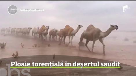 Fenomen neobişnuit în deşertul din Arabia Saudită. O ploaie torenţială a transformat nisipul într-o mlaştină