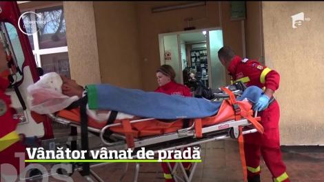 Vânător vânat de pradă. I s-a întâmplat unui bărbat din Bistriţa Năsăud, care a crezut că a împuşcat un urs, dar s-a înşelat. Animalul nu murise şi l-a muşcat de cap