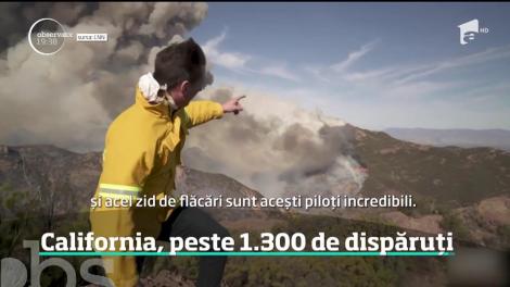 Tragedie în California! Peste 1300 de dispăruți în incendiile de vegetație