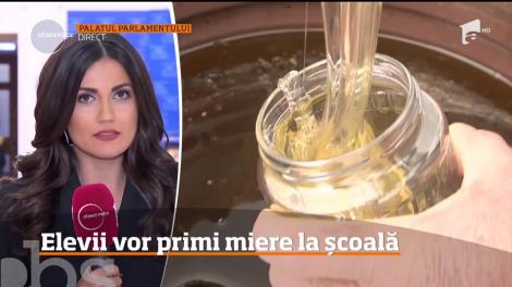 Elevii vor primi miere la școală