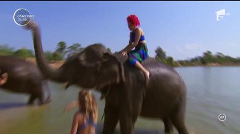 21 noiembrie, Ziua Mondială a Televiziunii