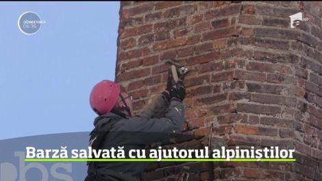 Barză salvată cu ajutorul alpiniștilor