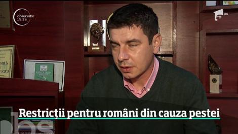 Restricții pentru români din cauza pestei porcine