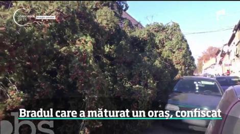 La Lugoj, poliţia a confiscat Crăciunul. Mai exact imensul brad din centrul oraşului