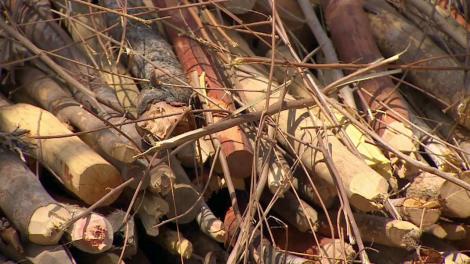 Proba de la duel, "Arzi să câștigi" - regulile întrecerii