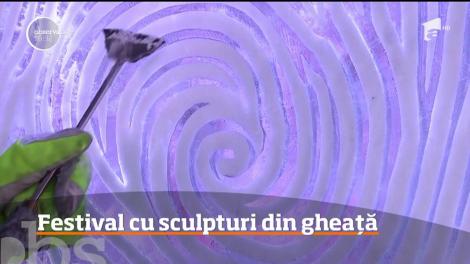 Festival cu sculpturi din gheață, în Belgia