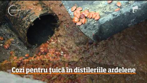 Leac din bătrâni pentru răceală, dar şi bună la digestie, ţuica continuă să fie în topul preferinţelor românilor