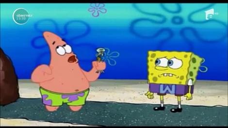 Creatorul lui Sponge Bob - Pantaloni Pătraţi a murit la doar 57 de ani