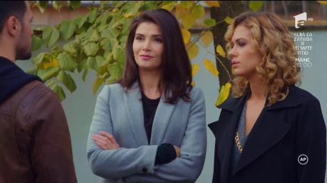 Tensiune la cote maxime între Alex, Sonia și Iza