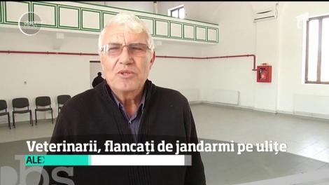 Sătenii unei comune din Olt au făcut zid &icirc;n faţa inspectorilor veterinari, ca să-şi apere porcii