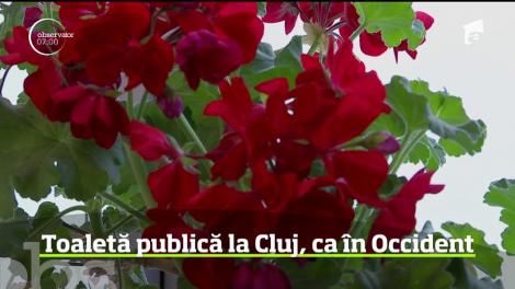 Imagini incredibile în judeţul Cluj, unde o toaletă publică trezeşte admiraţia tuturor celor care trec pe autostrada ce leagă Aiud de Turda