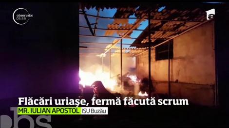 Un incendiu puternic, întreţinut de vântul care sufla cu putere, a distrus în totalitate una din clădirile unei ferme din Buzău
