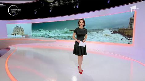 Cod galben de vânt la malul mării