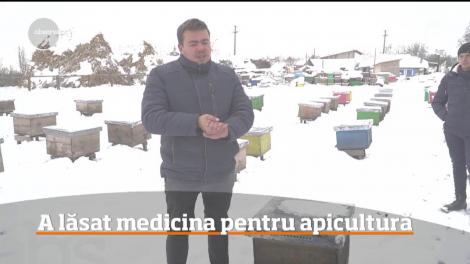 A lăsat medicina pentru apicultură