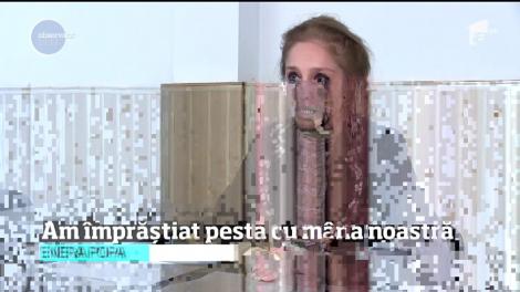 Lipsa de igienă din gospodării, motivele pentru care România are cei mai mulţi porci domestici afectaţi de pesta porcină