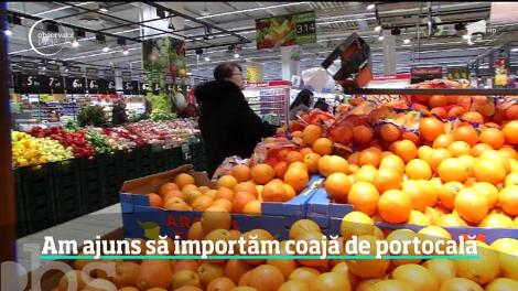 Scandalul citricelor stropite cu substanţe toxice a schimbat obiceiurile de consum. Coaja rasă de portocală sau de lămâie bio, la mare căutare