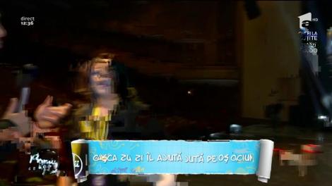 Gașca Zurli, spectacol de Crăciun la Sala Palatului