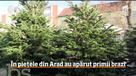 În pieţele din Arad au apărut primii brazi de Crăciun