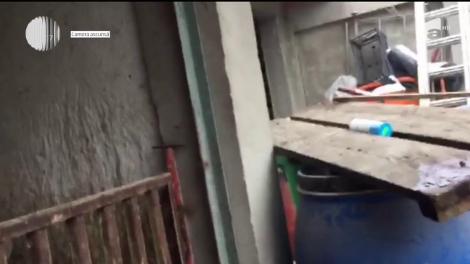 În zonele afectate de pestă porcină, carnea se vinde sub nasul autorităţilor