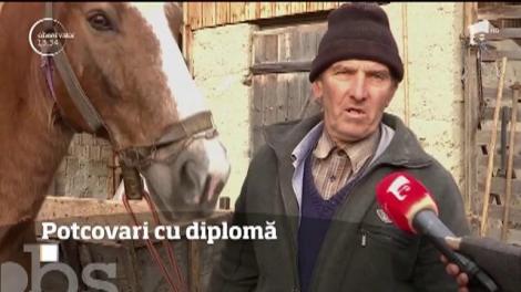 "Potcovitul" este o meserie pe cale de dispariţie la noi în ţară, dar extrem de profitabilă în Franţa!