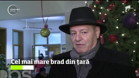 La Cisnădie s-a aprins din nou, cel mai mare brad de Crăciun din ţară