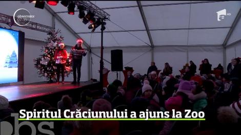 Spiritul Crăciunului a ajuns chiar şi la Grădina Zoologică