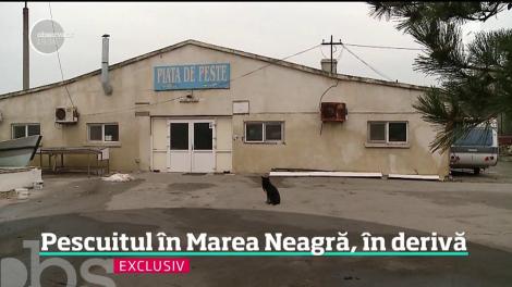 La malul Mării Negre, ducem lipsă de peşte! Din ce cauză a dispărut o întreagă industrie