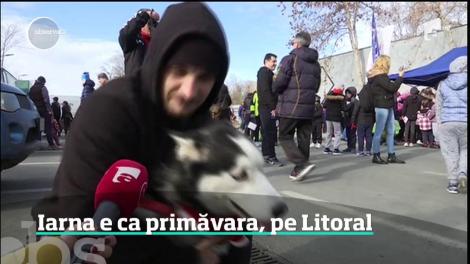 Iarna e că primăvară, pe Litoral