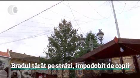 Bradul de Crăciun amplasat în centrul Lugojului este urmărit de ghinion