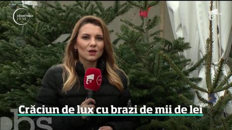 Crăciun de lux cu brazi de mii de lei