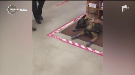 Melodia "Bohemian Rhapsody", cea mai ascultată melodie online a secolului 20