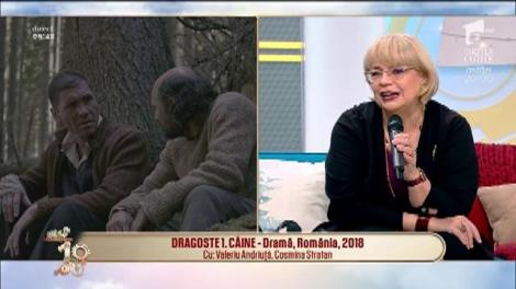 Cronica filmelor care trebuie vizionate: "Santa & Cie", "Dragoste1. Câine" și "Amre"