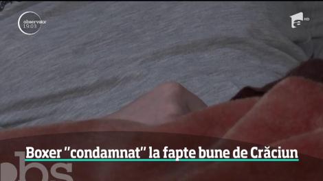 Proces cu final neaşteptat la Iaşi! Un boxer care a băgat în spital un medic a fost iertat de victima sa
