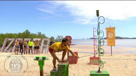 Proba pentru nominalizare: Mircea Zamfir