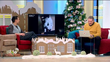 Smiley News. O pisică se uită la "Tom și Jerry"