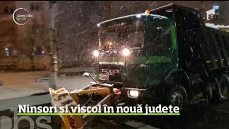 Nouă judeţe din sud-vestul ţării, lovite de ninsori şi viscol