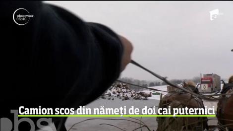 Camion scos din nămeți de doi cai puternici