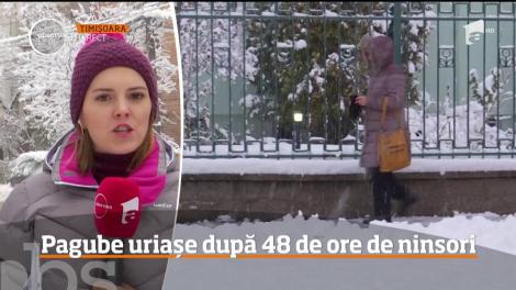 Situație disperată! Vremea extrem de rea a lăsat fără curent electric peste 40.000 de oameni din 60 de localităţi. Care este explicația autorităților