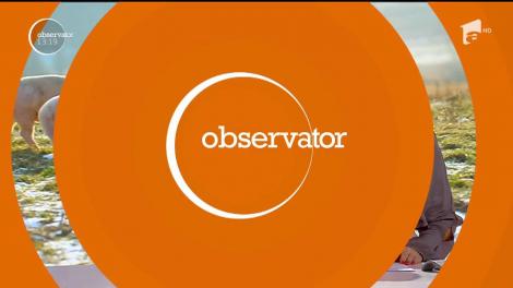 Un nou focar de pestă porcină a fost confirmat într-o comună din Dâmboviţa