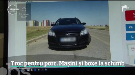 Românii sunt gata să ofere telefoane, sisteme audio şi chiar maşini pentru o bucată din animale crescute la ţară